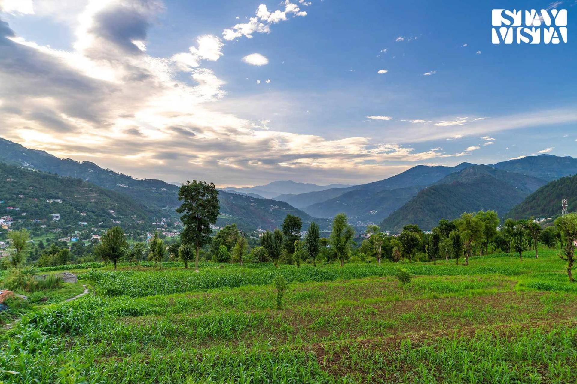 Stayvista At The Oakridge 4 Bhk Villa In Dharamshala With Jacuzzi & Balcony Chamba (Himachal Pradesh) Ngoại thất bức ảnh